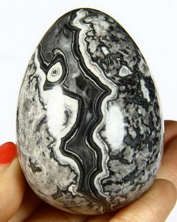 Crocodile Jasper